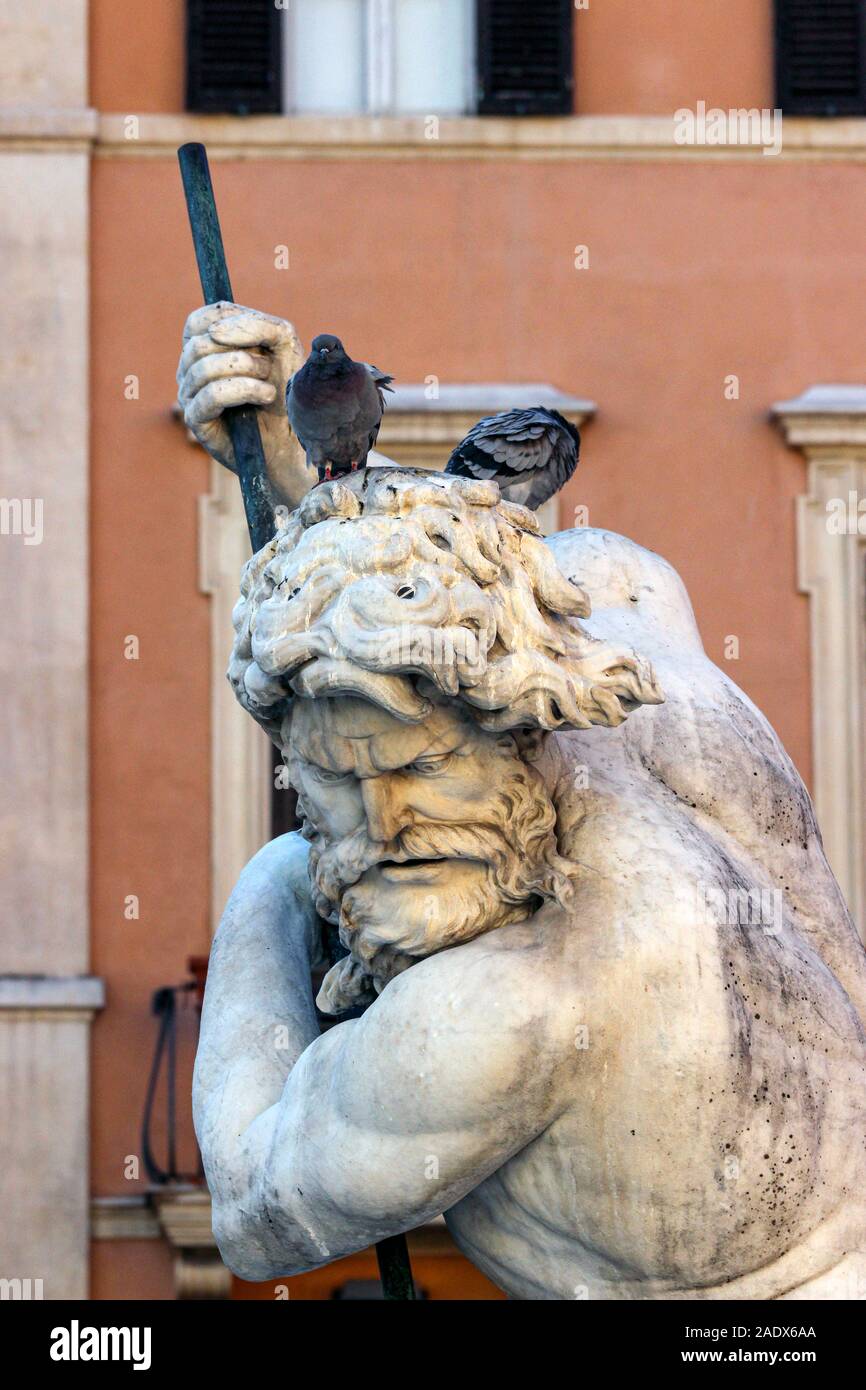 Piccioni comuni sulla statua di Nettuno a Piazza Navona a Roma, Italia Foto Stock