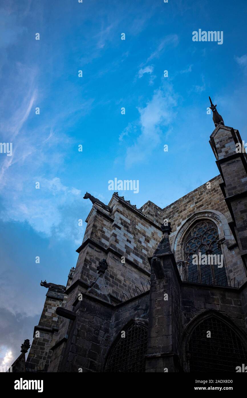 Dettaglio del tetto e doccioni presso la cattedrale di Barcellona. Cattedrale di Santa Croce e di Santa Eulalia. Catedral de la Santa Creu i Santa Eulàlia. Catedral d Foto Stock