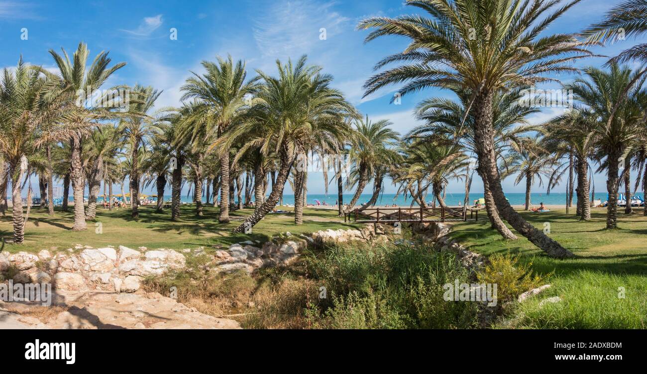 Il Palm Grove lungo la spiaggia a La Carihuela beach, Torremolinos, Andalusia. Foto Stock