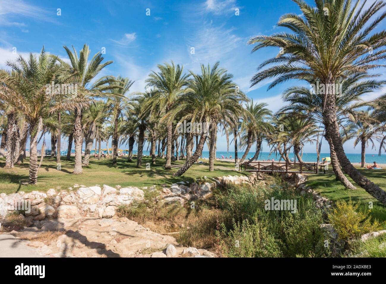 Il Palm Grove lungo la spiaggia a La Carihuela beach, Torremolinos, Andalusia. Foto Stock