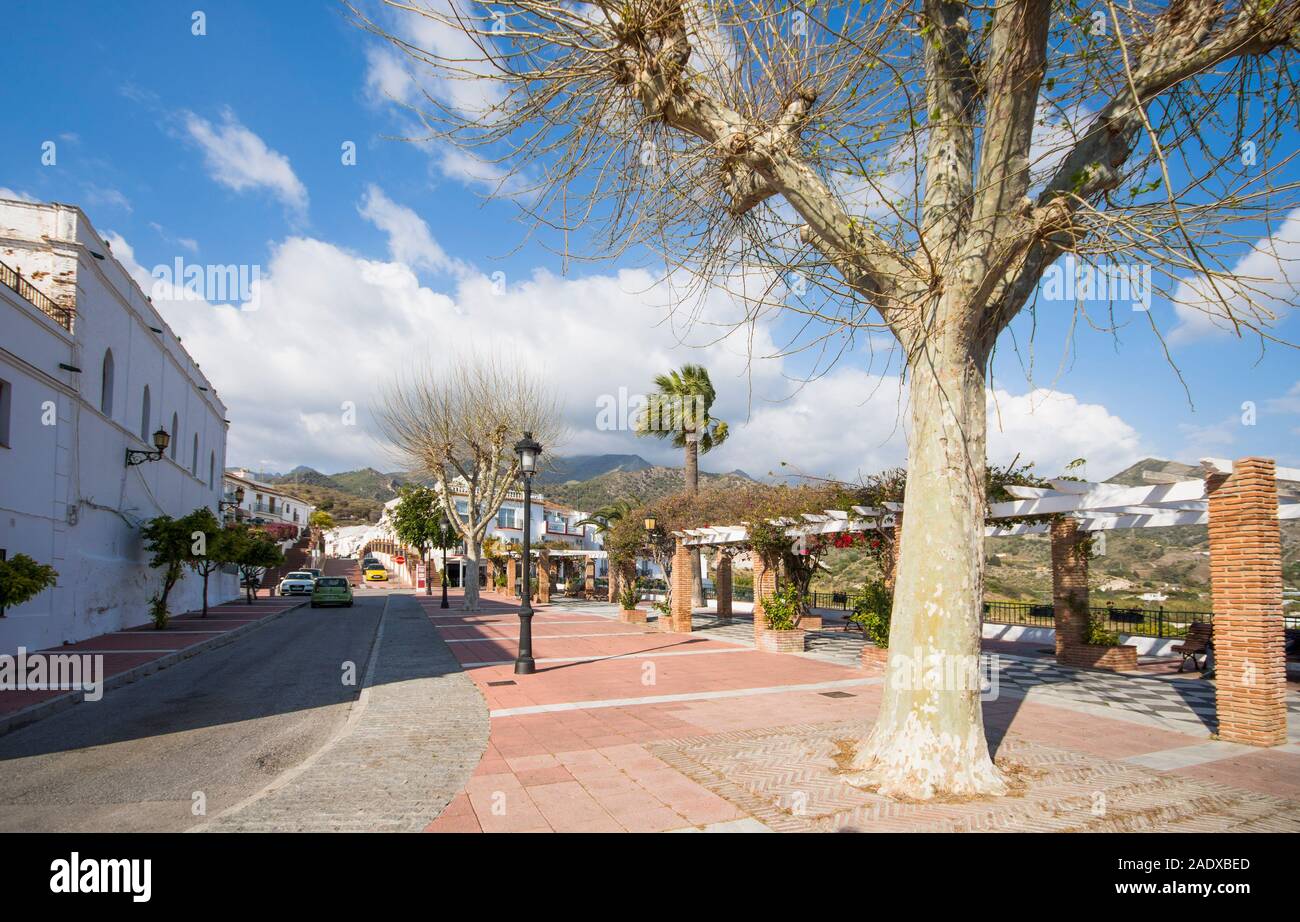 Maro spagna, La città spagnola centro di Maro, con albero piano. Andalusia, Spagna. Foto Stock