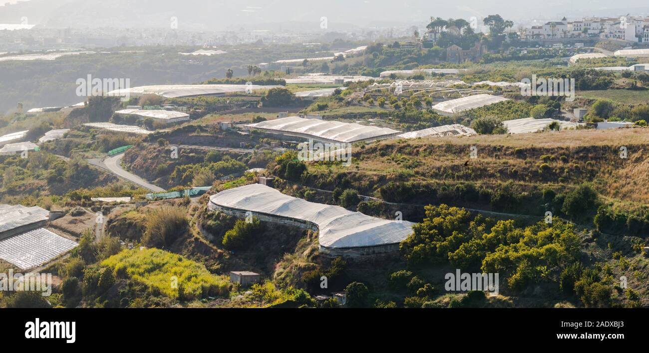 Serre in campagna intorno alla città di Nerja, Andalusia. Foto Stock