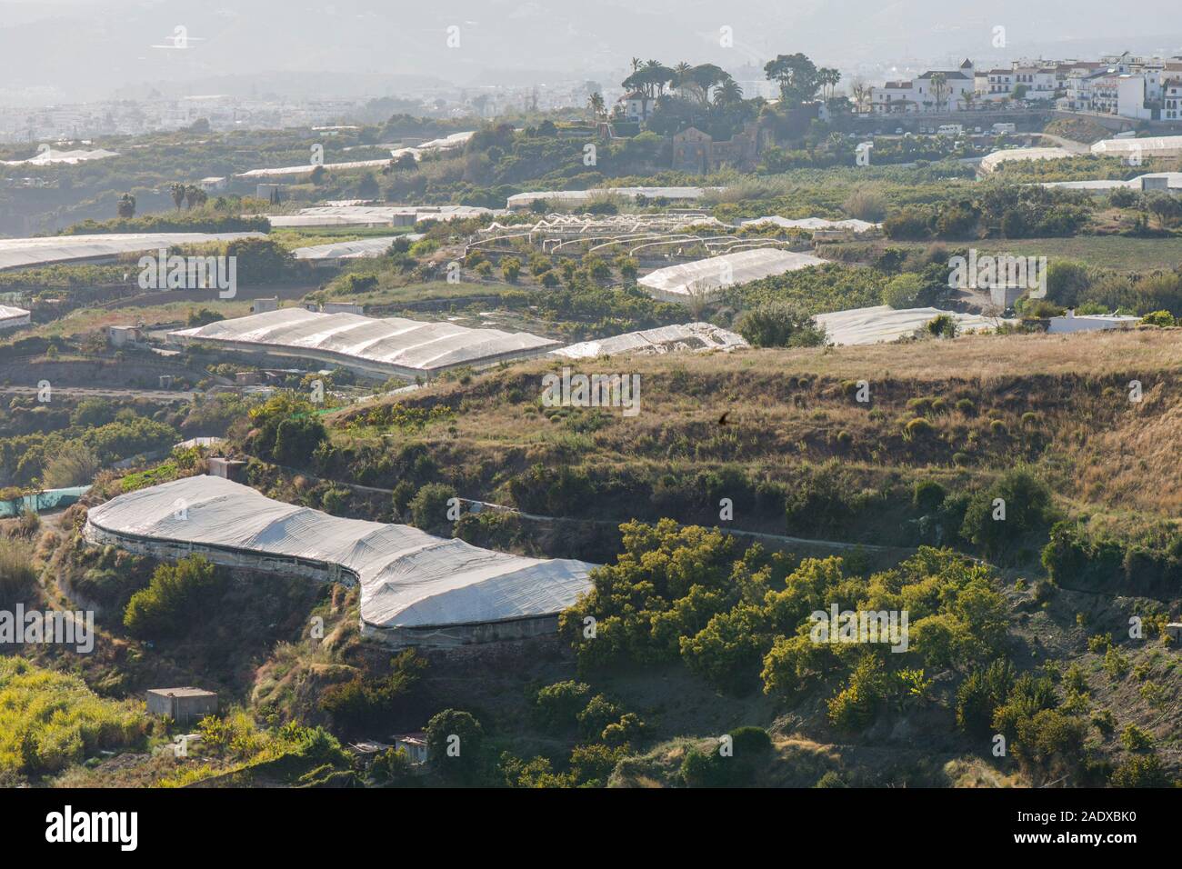 Serre in campagna intorno alla città di Nerja, Andalusia. Foto Stock