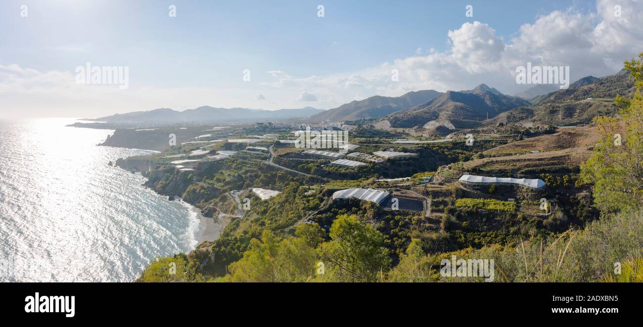 Serre in campagna intorno alla città di Nerja, Andalusia. Foto Stock
