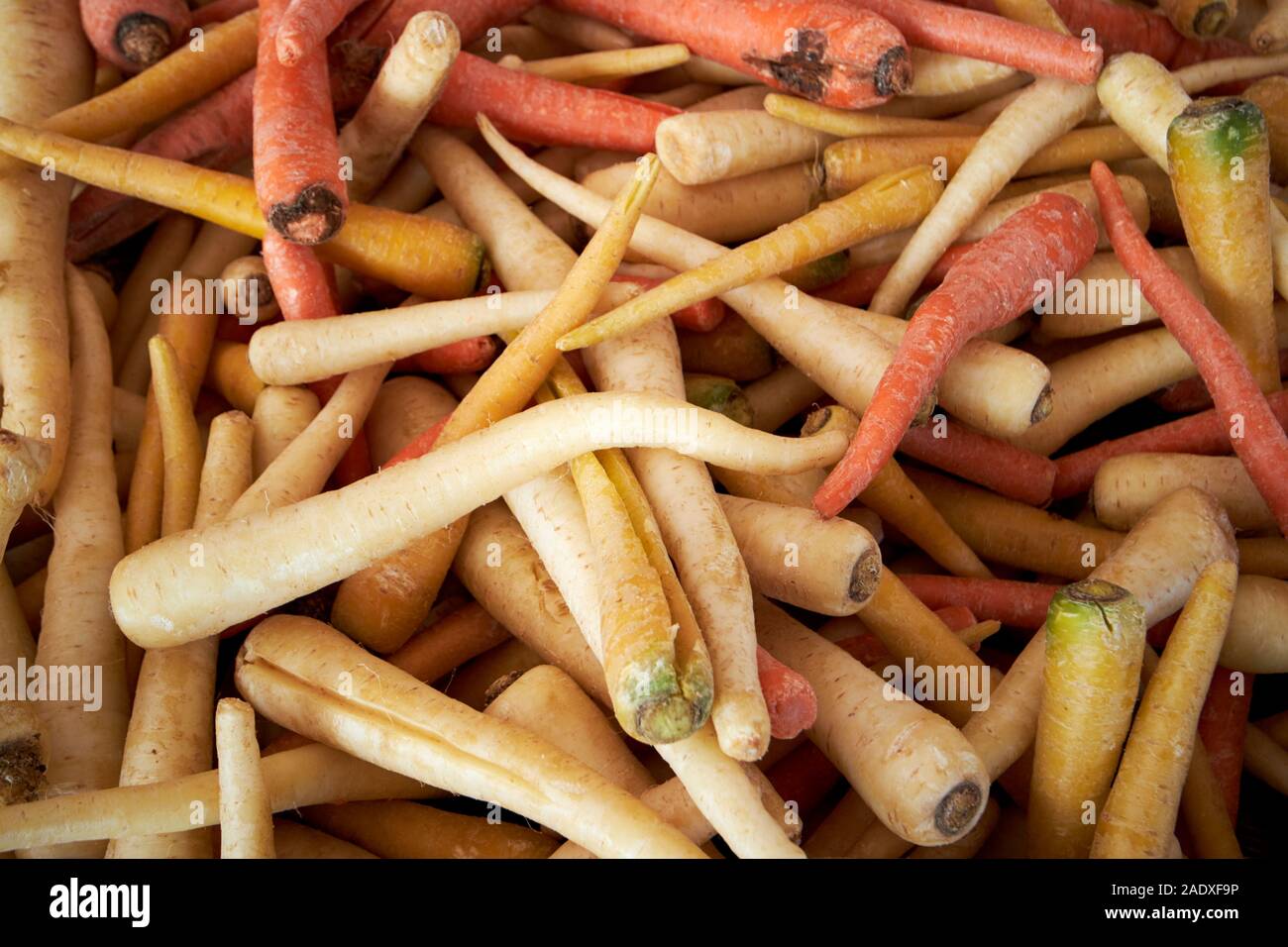 Bianco giallo e arancio carote freschi prodotti locali in vendita su un mercato degli agricoltori nel giardino d'inverno florida usa Foto Stock