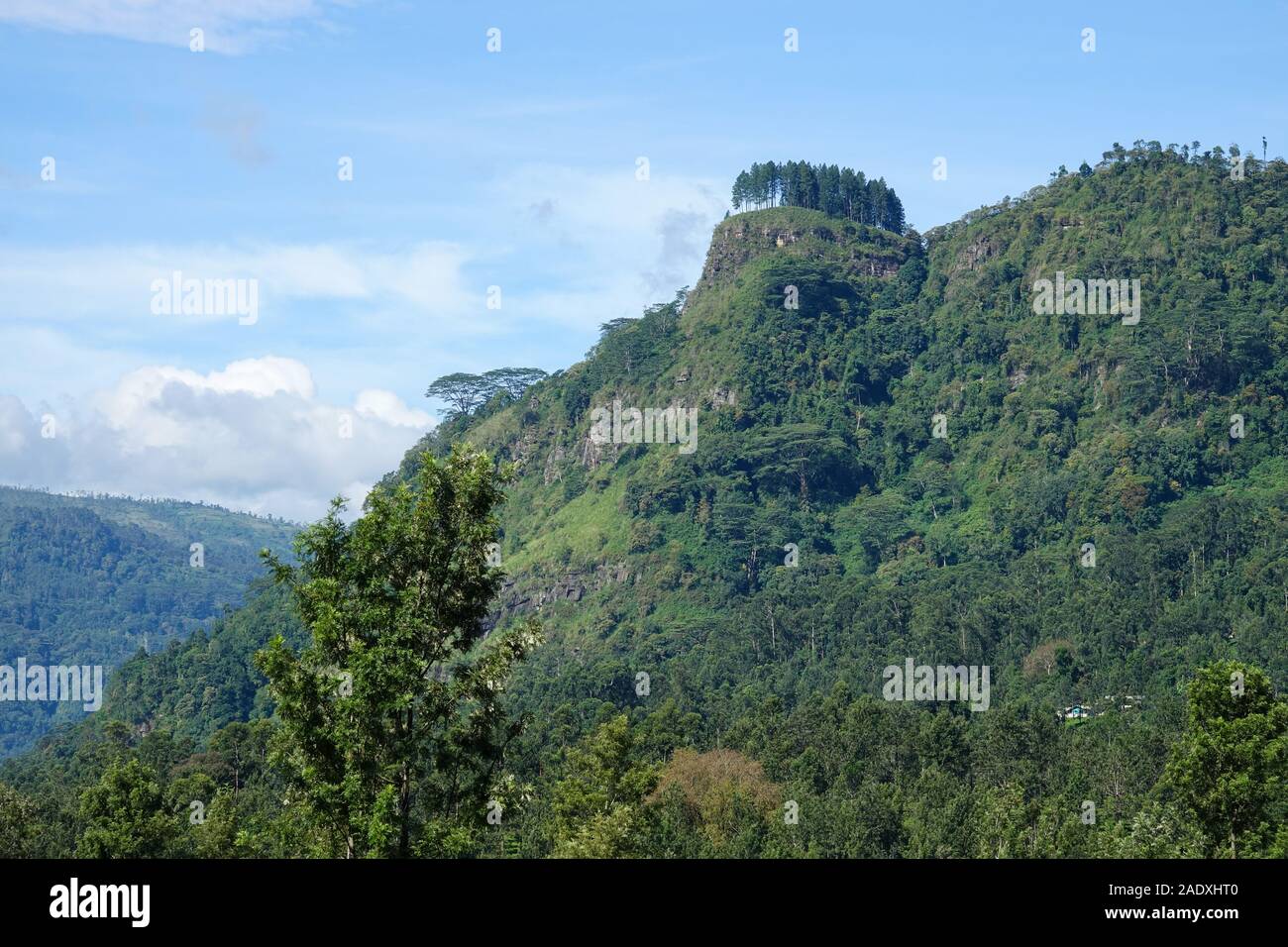 Paesaggio di montagna nella parte centrale dello Sri Lanka Foto Stock