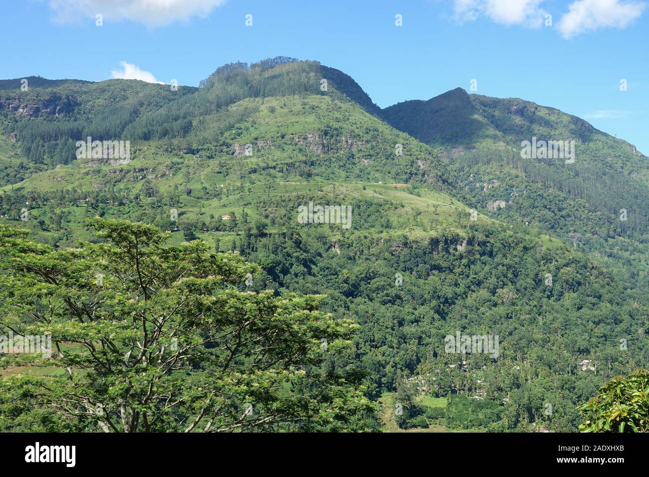 Paesaggio di montagna in una valle verde con i villaggi. Vista del serbatoio Kotmale, Sri Lanka. Foto Stock