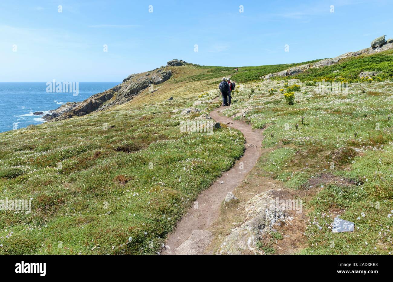 Sentiero con vista del mare e le scogliere su Skomer Island, una riserva naturale Il Pembrokeshire Coast del Galles occidentale Foto Stock