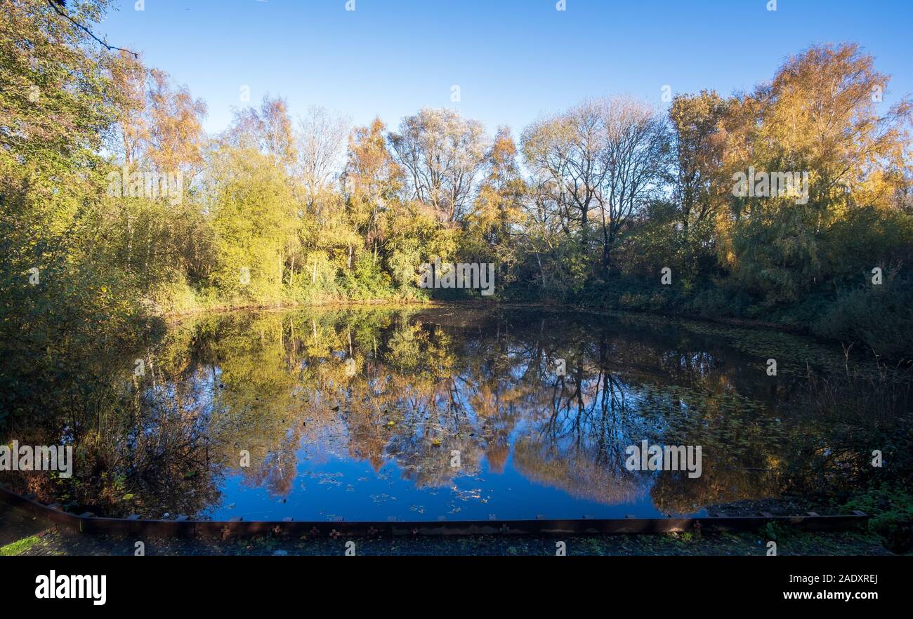 Il Spanbroekmolen Poole della pace, noto anche come Lone Tree cratere, il più grande di 19 Mio crateri lasciati dal 1917 Battaglia di Messines Ridge Foto Stock