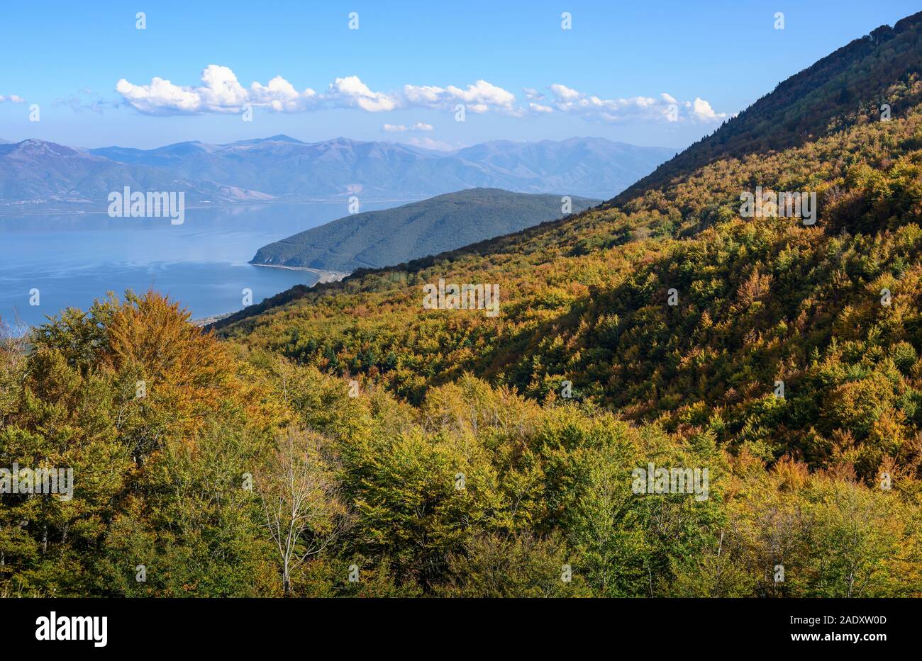 Autunno in Galičica National Park, guardando in giù sul lago Prespa nel nord della Macedonia, l'Europa. Foto Stock