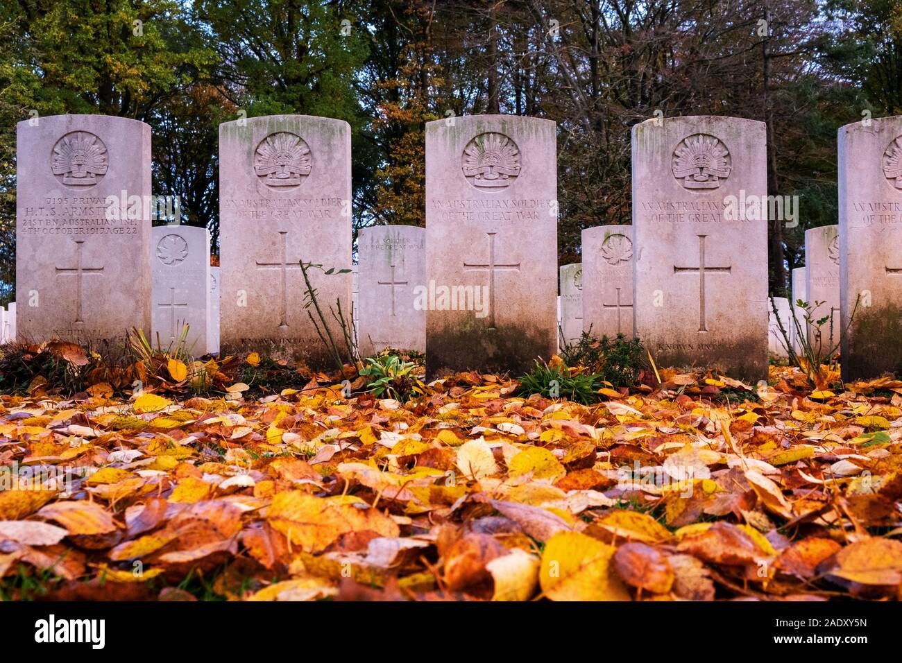 Buttes Nuovo Cimitero britannico e Nuova Zelanda Memoriale per la mancanza di quinta divisione australiana Memorial in legno di un poligono Foto Stock