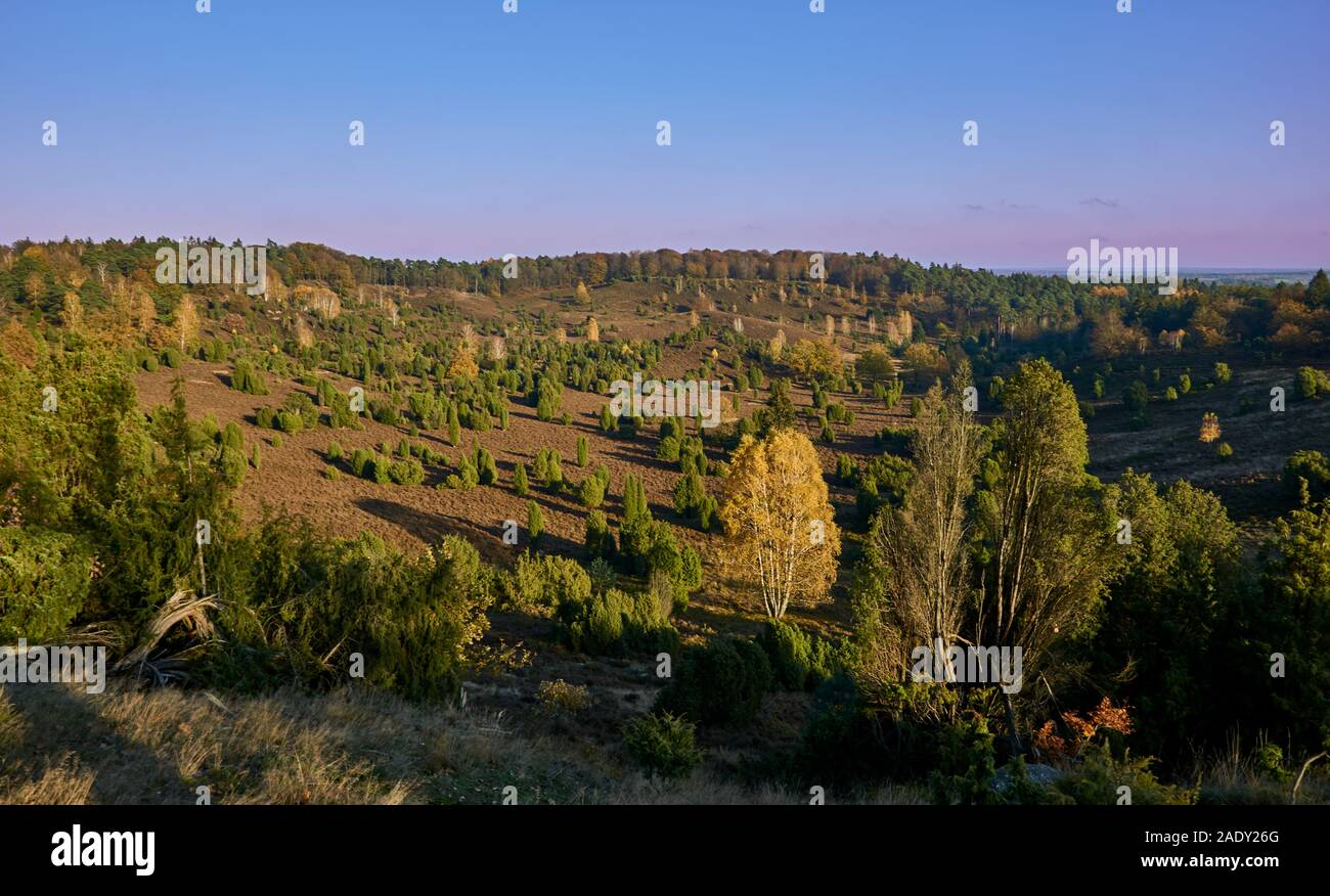 Vista panoramica al bacino Totengrund in Luneberg vicino Wilsede, Germania Foto Stock