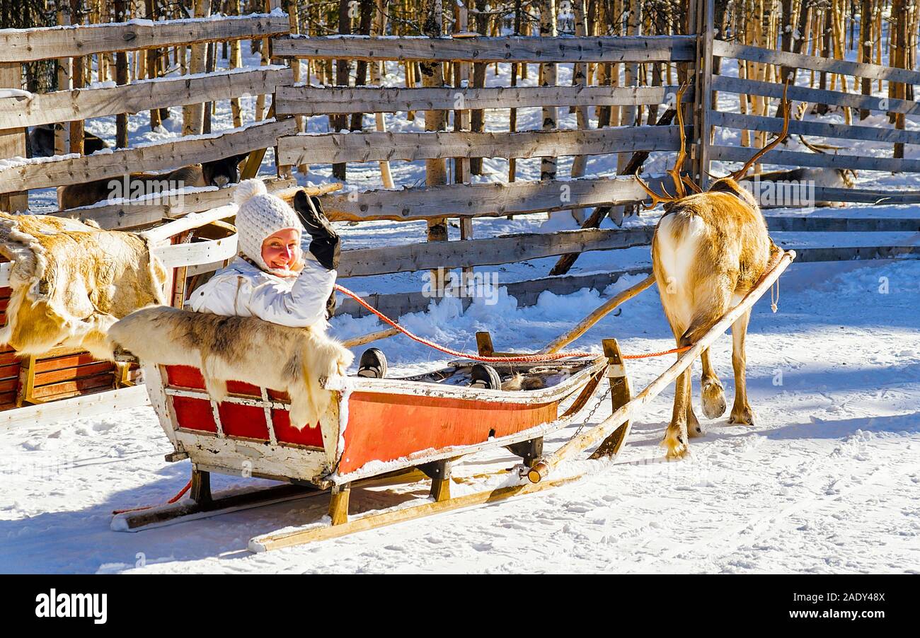 La ragazza di renne slitta in inverno Rovaniemi reflex Foto Stock