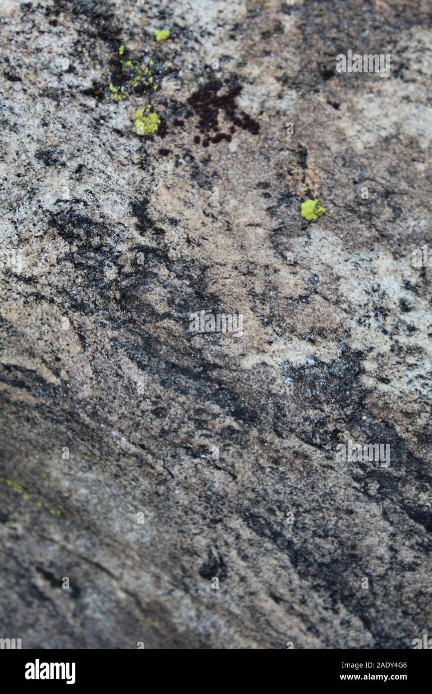 A Joshua Tree National Park sono le rocce della montagna di Ryan, il loro elegante di patterns crittografato con magica Sud del Deserto Mojave storia. Foto Stock