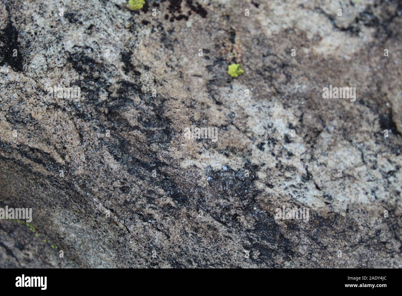 A Joshua Tree National Park sono le rocce della montagna di Ryan, il loro elegante di patterns crittografato con magica Sud del Deserto Mojave storia. Foto Stock