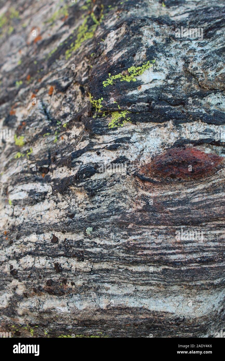 A Joshua Tree National Park sono le rocce della montagna di Ryan, il loro elegante di patterns crittografato con magica Sud del Deserto Mojave storia. Foto Stock