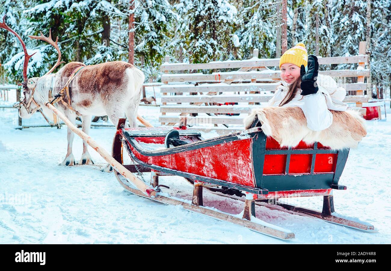 Ragazza a cavallo con slitta di renne in Finlandia in Lapponia reflex Foto Stock
