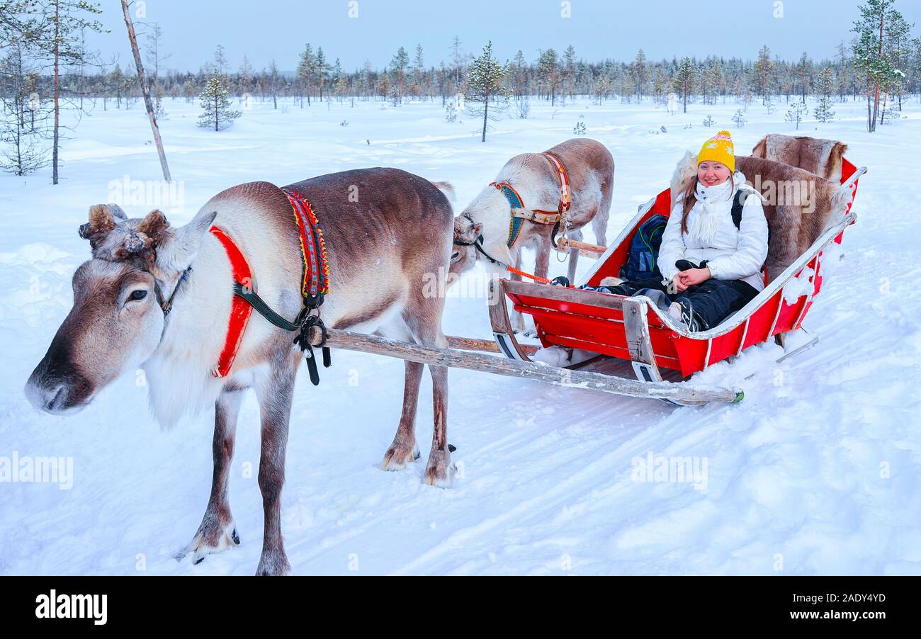 Ragazza in sella la renna slitta in inverno Rovaniemi reflex Foto Stock