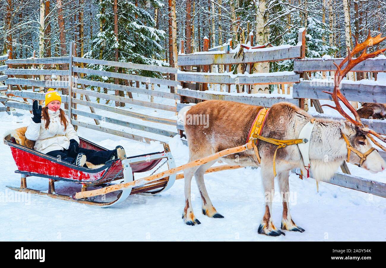 Ragazza a cavallo con slitta di renne in inverno Rovaniemi reflex Foto Stock