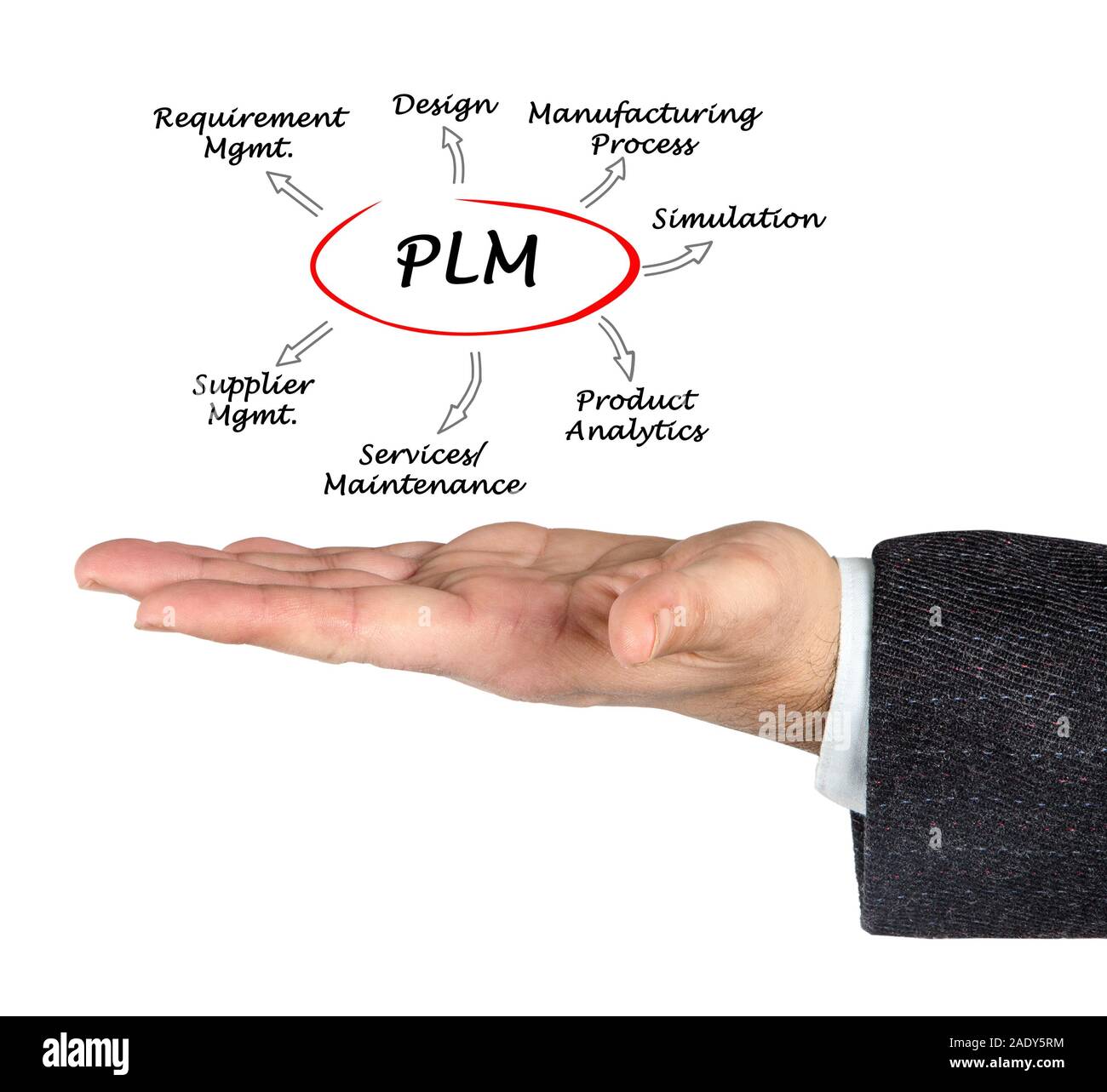 Il PLM Foto Stock