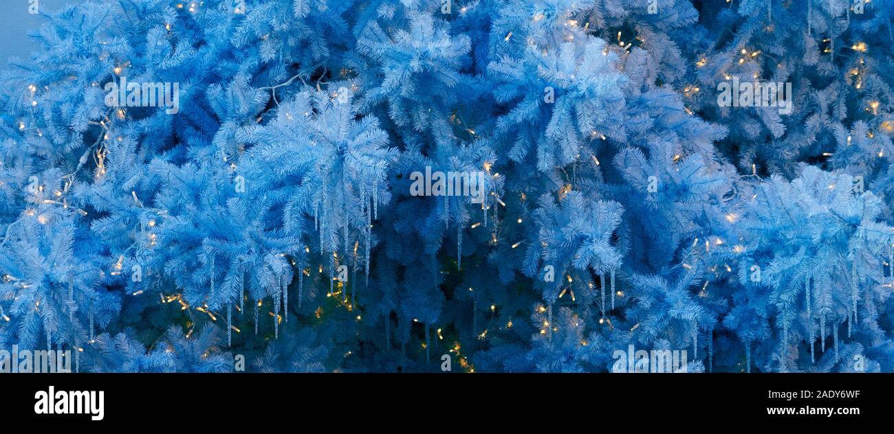 Sfondo di natale. Albero di natale rami con la decorazione e la ghirlanda virati al colore dell'anno 2020 Blu classico Foto Stock