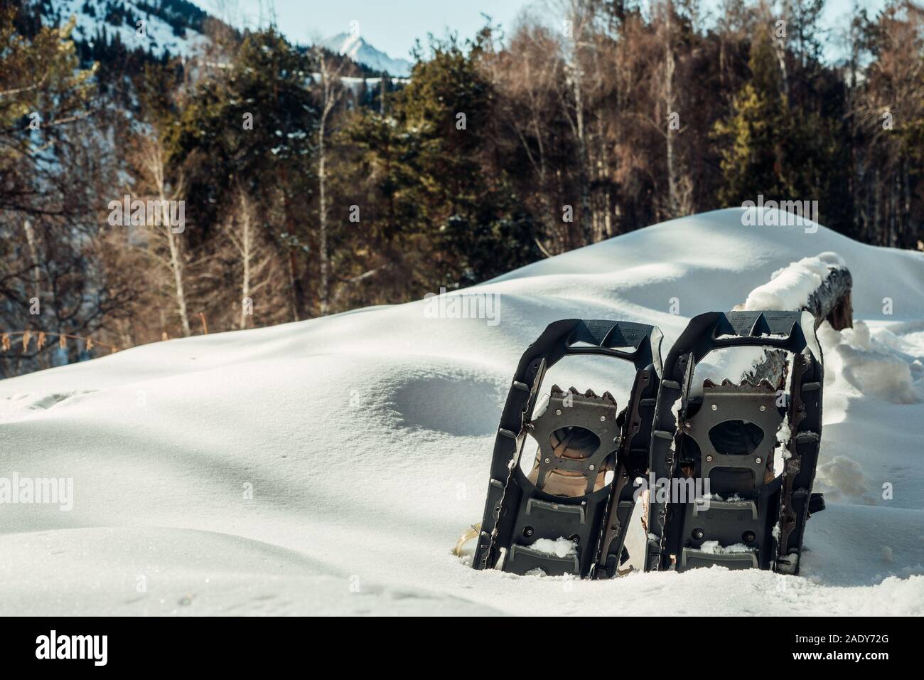 Racchette da neve sullo sfondo di montagne innevate e foreste. In inverno il turismo di montagna Foto Stock