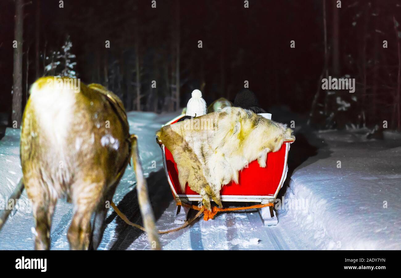Persone slitta trainata da renne al safari notturno in Lapponia Finlandia reflex Foto Stock