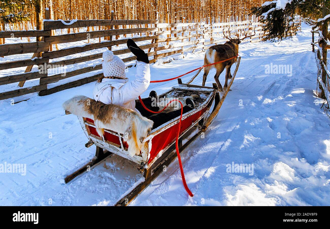 Ragazza mentre le renne giro in slitta in inverno Rovaniemi reflex Foto Stock