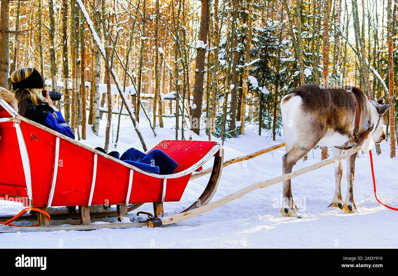Ragazza tenendo la foto in renne slitta in inverno Rovaniemi reflex Foto Stock
