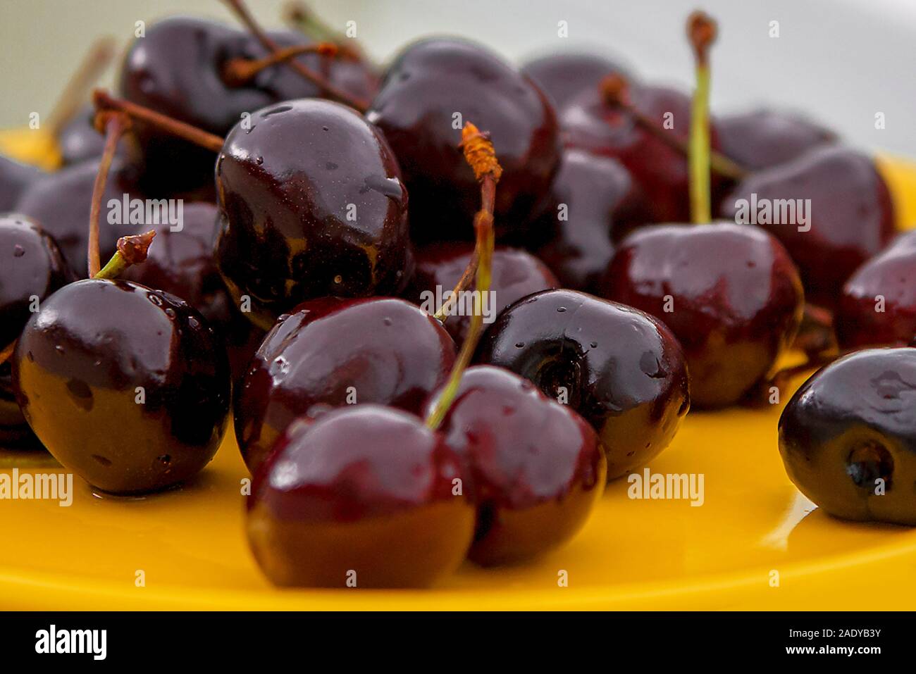Close-up di appena lavato, lucido, molto mature e Appetitose ciliegie sparse su una piastra. Foto Stock