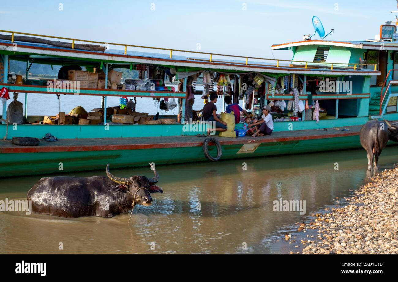 Un fiume birmano barca sul fiume Chindwin serve come un mercato galleggiante per le merci in vendita come le vele di imbarcazioni in su e in giù il fiume in Myanmar (Birmania) Foto Stock