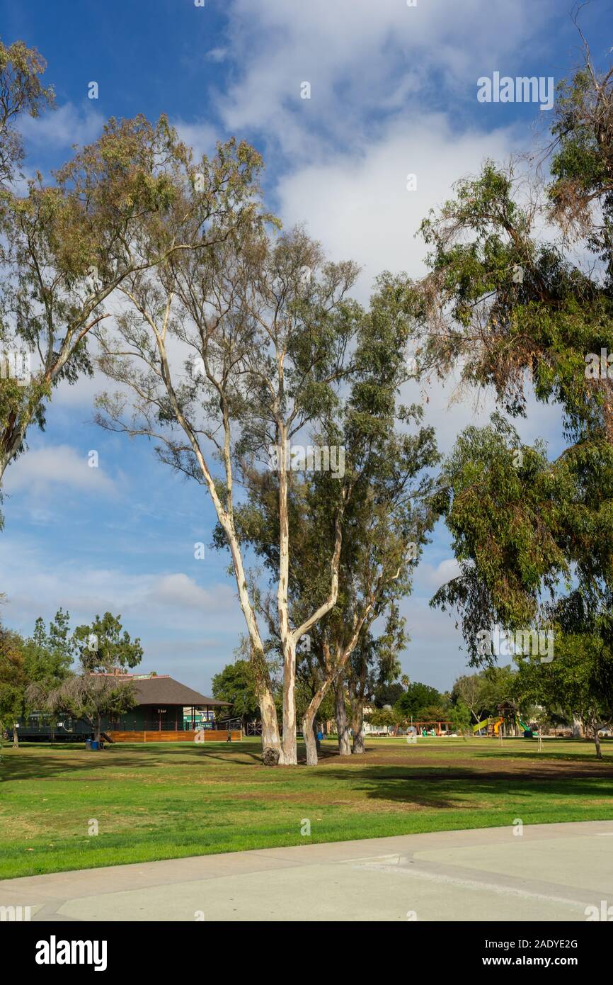 Escondido, CA / STATI UNITI D'America - 15 Novembre 2019: Uva giorno Park è un famoso parco della città nella città di Escondido, la California ed è adiacente alla civica della città c Foto Stock