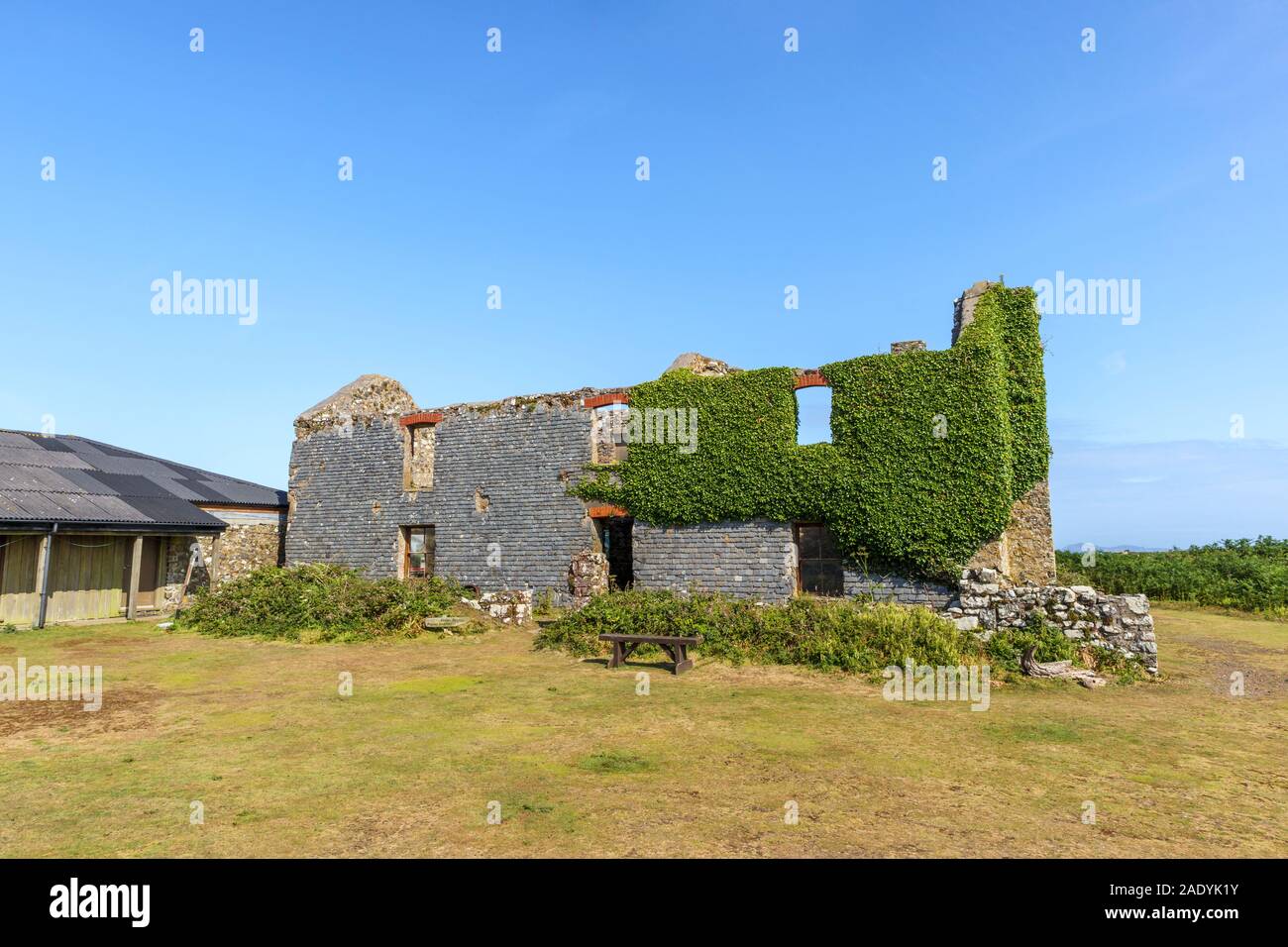 Le rovine della vecchia azienda agricola utilizzata come ostello alloggio sull'Isola di Skomer su Il Pembrokeshire Coast, West Wales Foto Stock