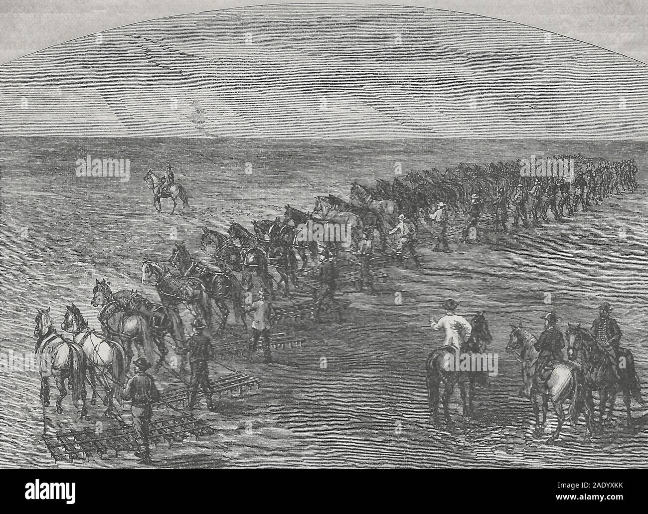 La straziante nel territorio Dakota, circa 1880 Foto Stock