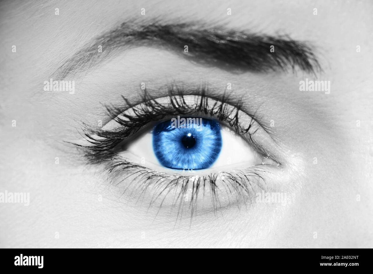 Blue eye. Ispirato dal colore dell'anno 2020. Pantone. Foto Stock