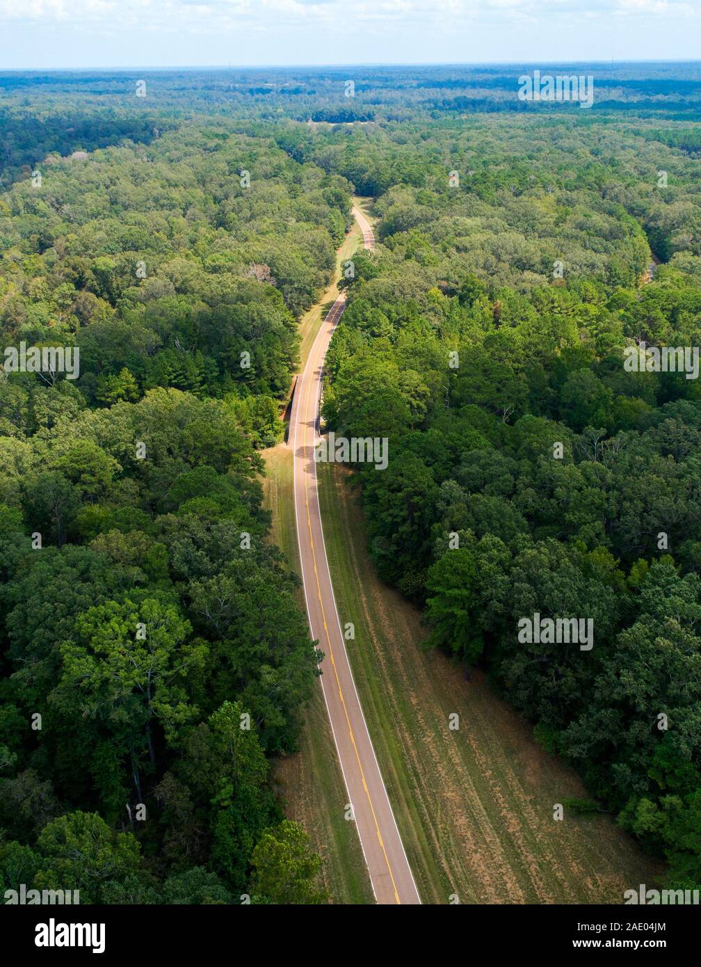Il Natchez Trace Parkway MS Mississippi noto anche come "Vecchio Natchez Trace', è uno storico sentiero forestale all'interno degli Stati Uniti che si estende rou Foto Stock