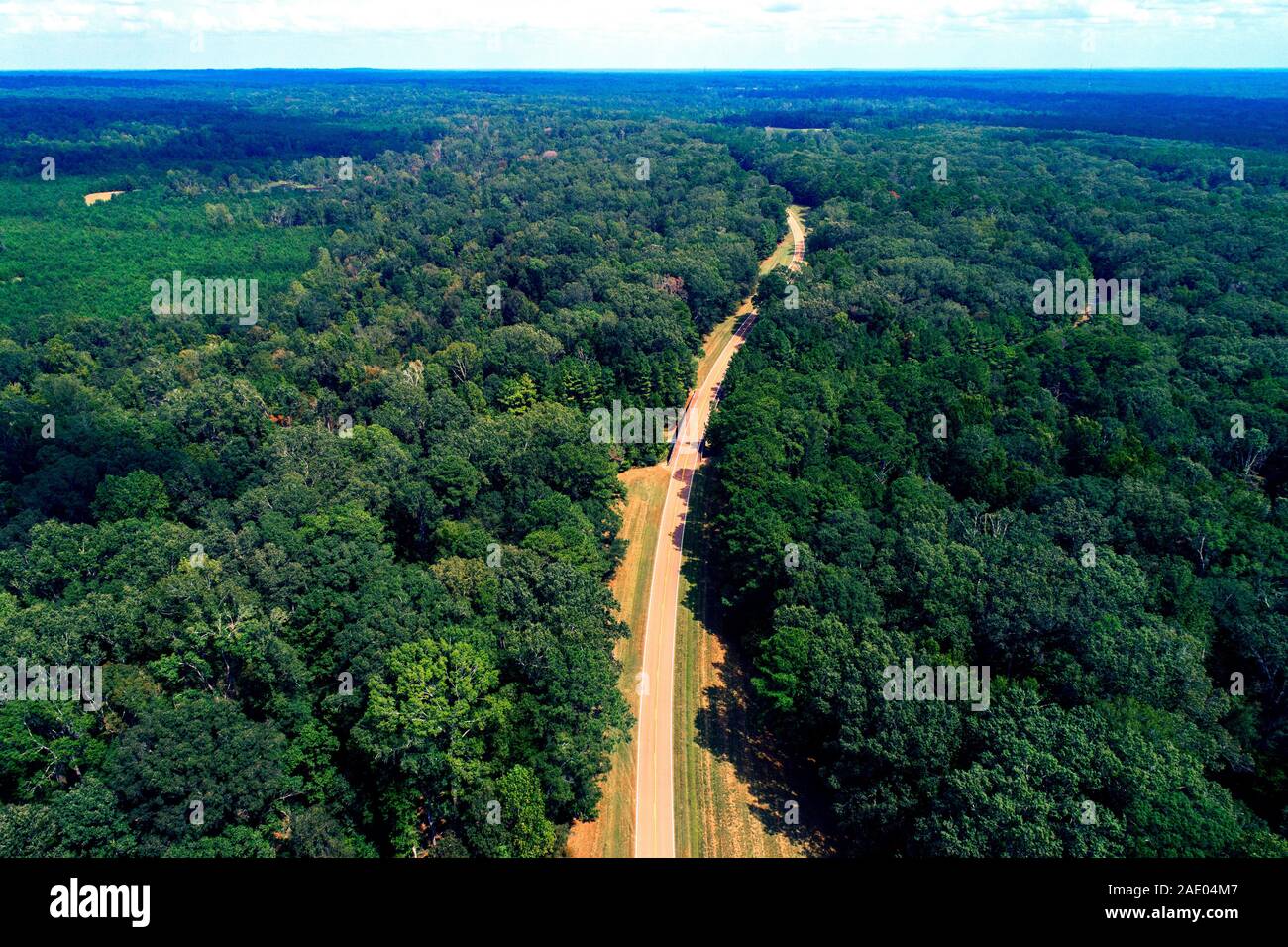 Il Natchez Trace Parkway MS Mississippi noto anche come "Vecchio Natchez Trace', è uno storico sentiero forestale all'interno degli Stati Uniti che si estende rou Foto Stock