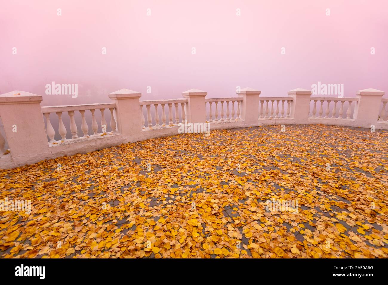 Tappeto di autunno dal secco foglie d'arancio. Caduta foglie sulla terrazza in mattinata nebbiosa. Concetto di autunno Foto Stock