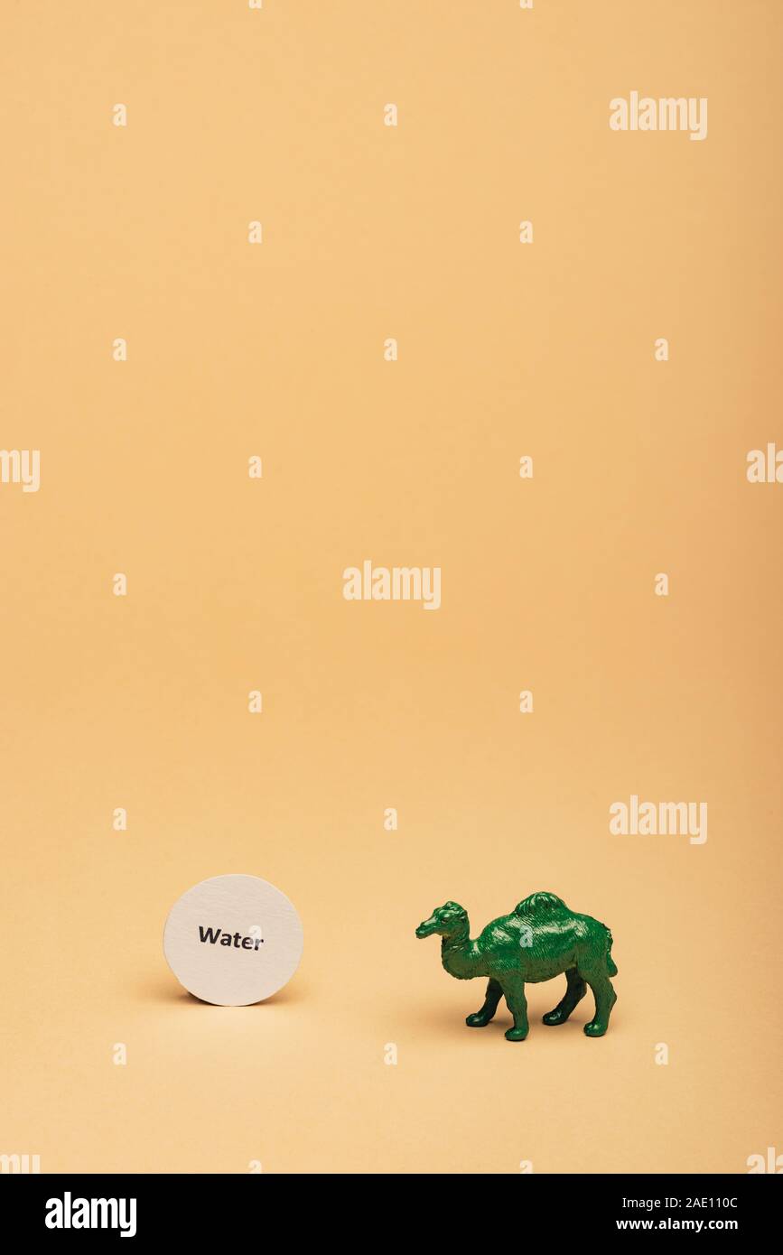 Giocattolo verde cammello con scritte acqua sulla scheda su sfondo giallo, la carenza di acqua concetto Foto Stock