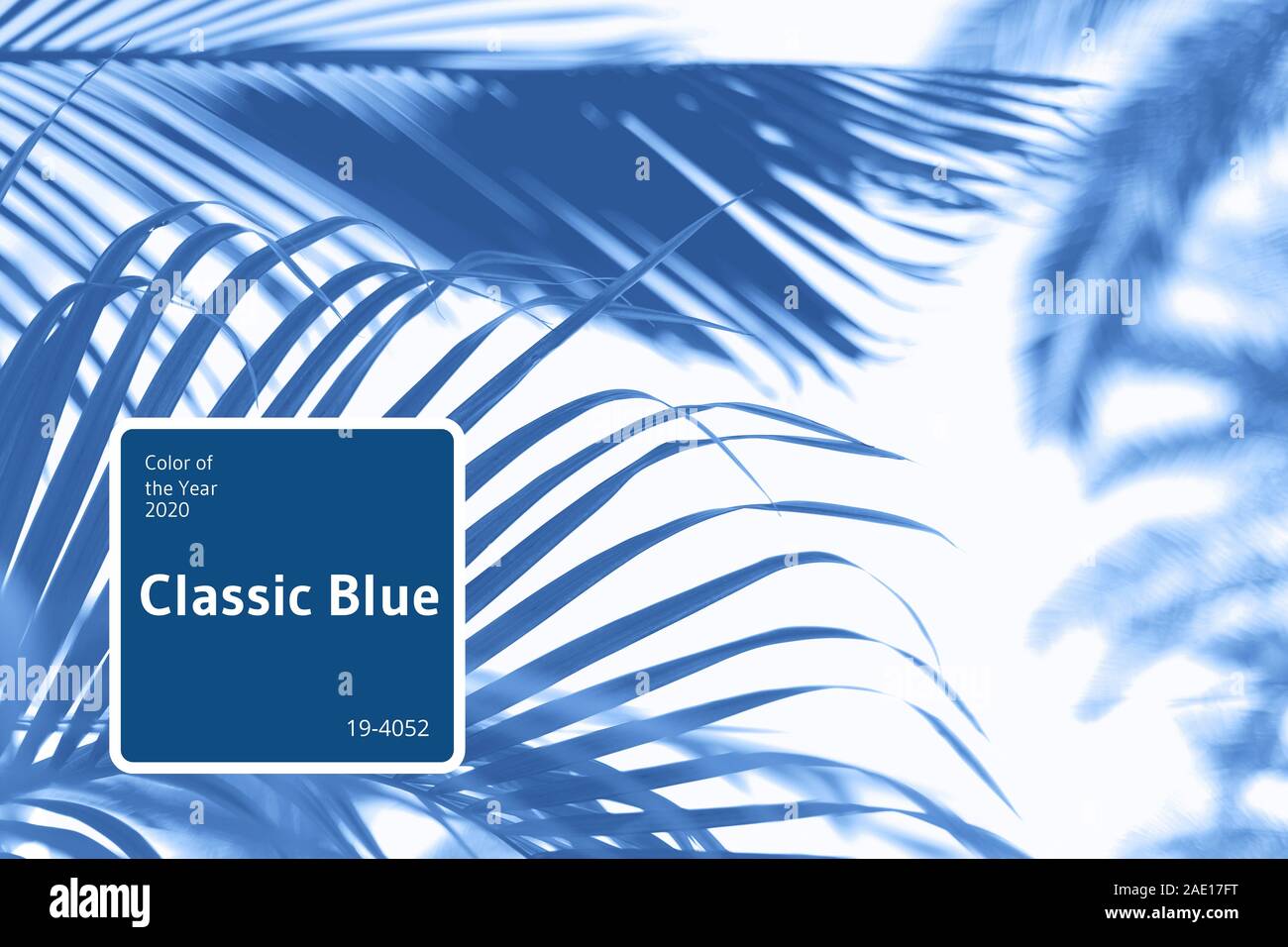 Collage di moda con la natura texture, foglie. sfondi ispirati alla moda di colore blu del 2020. Foto Stock