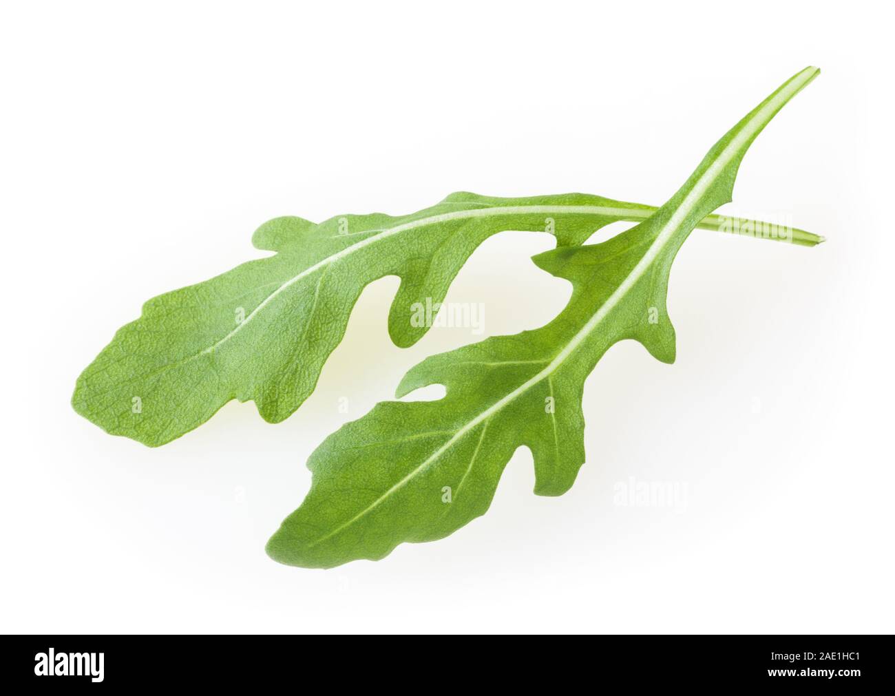 Fresche foglie di rucola isolati su sfondo bianco Foto Stock