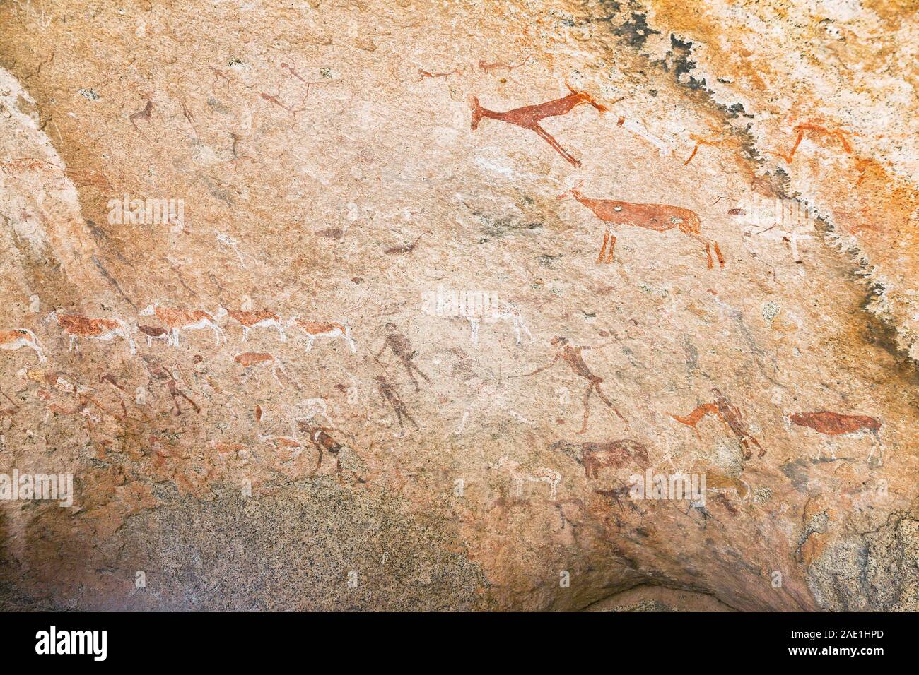 Dipinto di roccia di Ancient Sun 'Maack's Shelter' a Tsisab Ravine nel Monte Brandberg, arte rupestre dei Boscimani, deserto del Namib, Namibia, Africa Meridionale, Africa Foto Stock