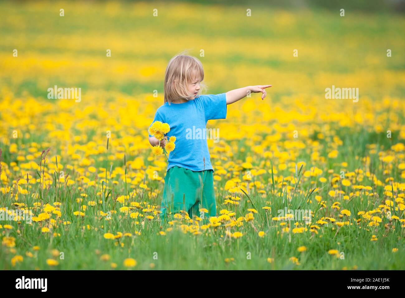 Ragazzo con capelli lunghi in piedi in un campo di tarassaco Foto Stock