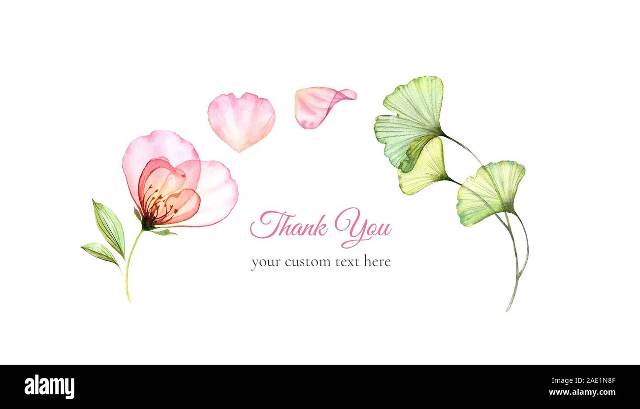 Acquerello biglietto di ringraziamento. Rosa trasparente con petali volanti isolati su bianco. Composizione Arch. Botaniche illustrazioni floreali per matrimoni Foto Stock