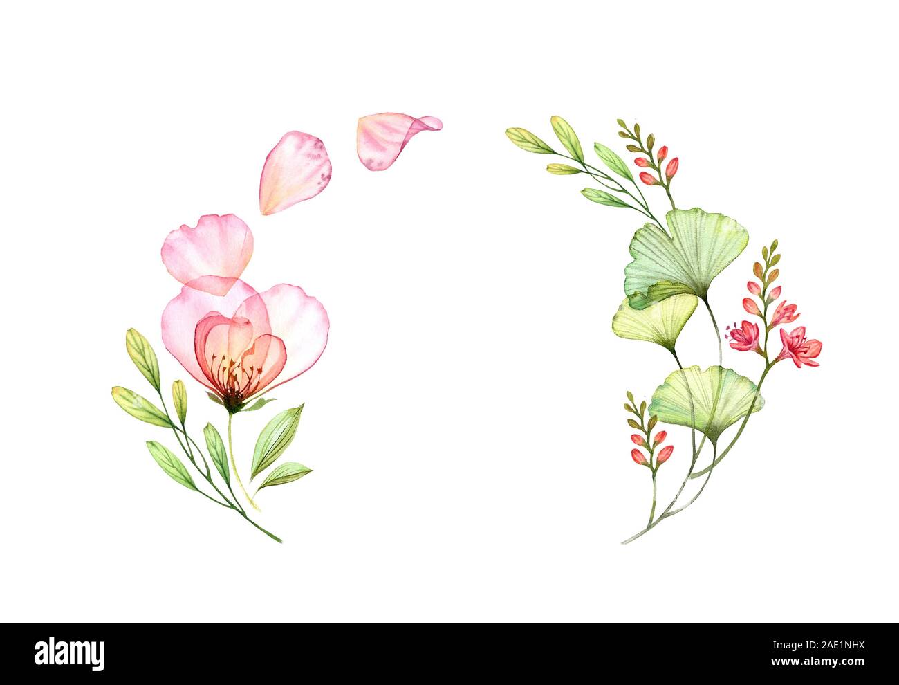 Acquerello rosa trasparente arch. Colorata ghirlanda floreale con petali volanti isolati su bianco. Botaniche illustrazioni floreali per matrimonio inviti Foto Stock