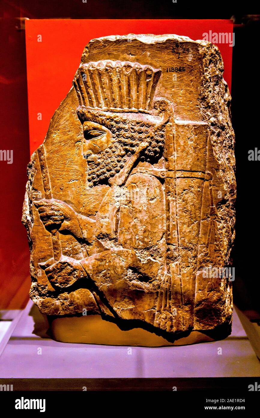 Persiano antico rilievo achemenide da Persepolis in Iran, Museo CSMVS, Mumbai, Maharashtra, India, Asia Foto Stock