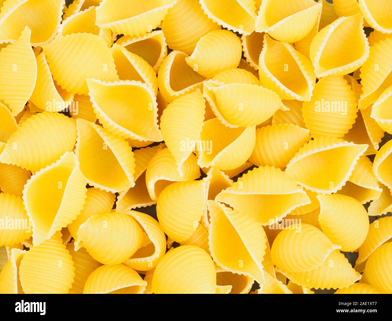 Sfondo di pasta tipo shell. Mangiare sano concetto Foto Stock