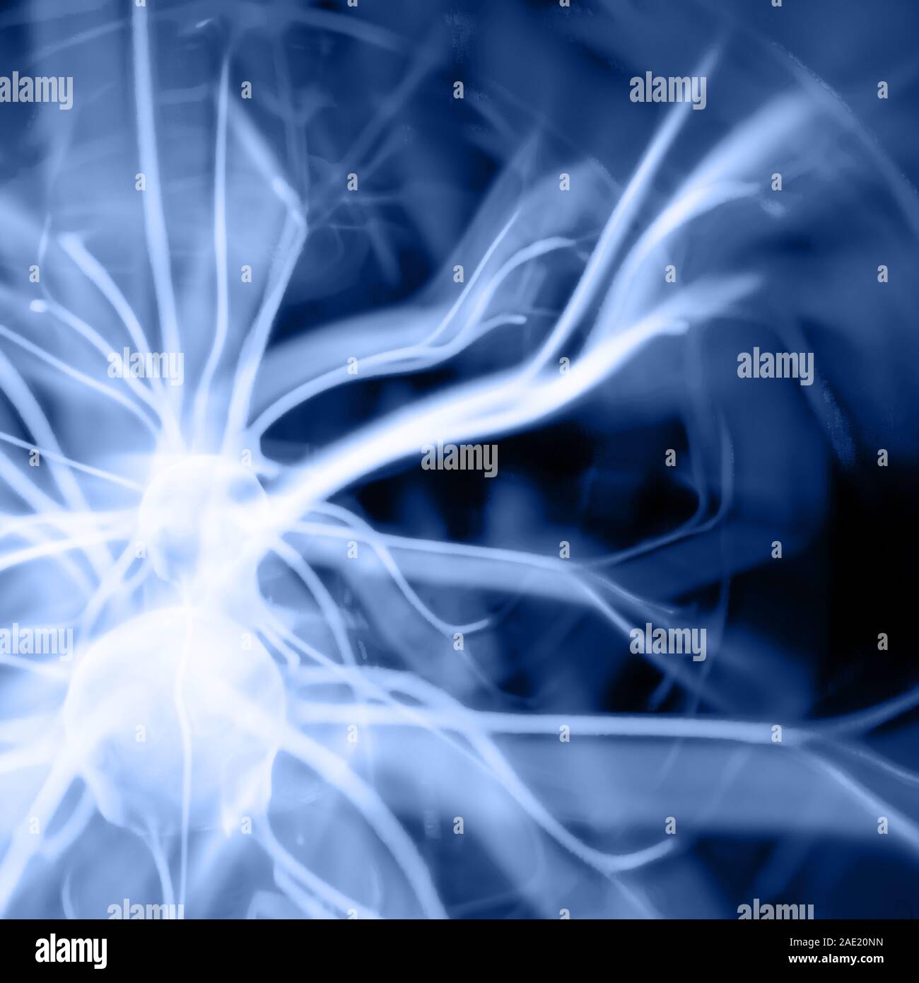 Parete del classico di colore blu 2020 - 19-4052. Colore dell'anno. Foto Stock