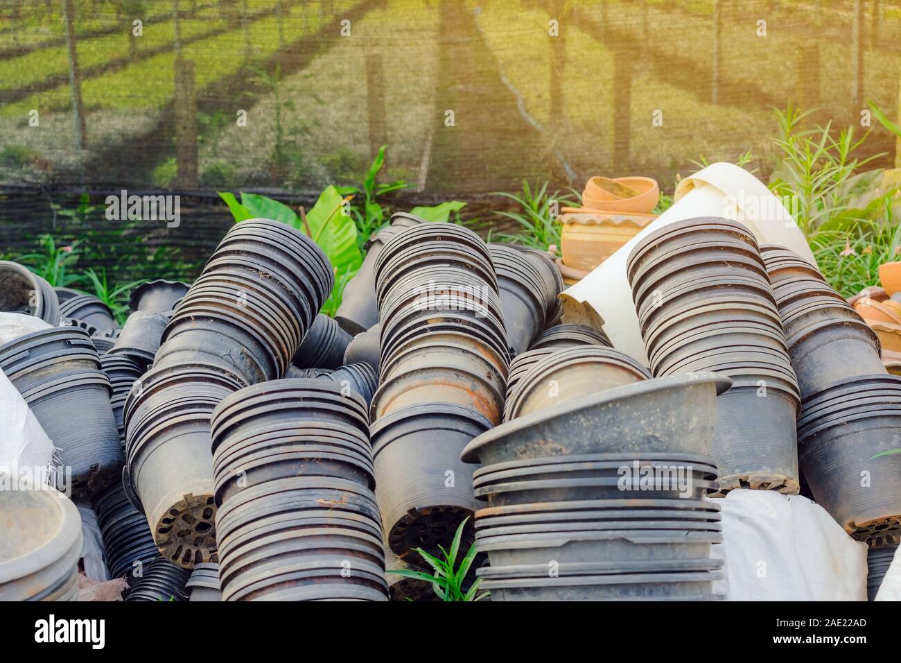 Pila di vasi di molti vecchi impianti che non sono in uso nella parte anteriore del orchid garden di allevamento. Foto Stock