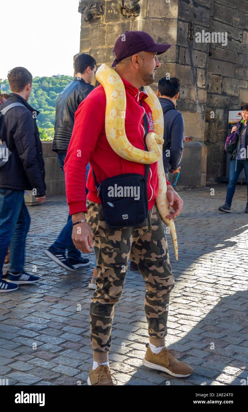 Charles Bridge tout maschio con python snake per i turisti per scattare fotografie con, Praga Repubblica Ceca. Foto Stock